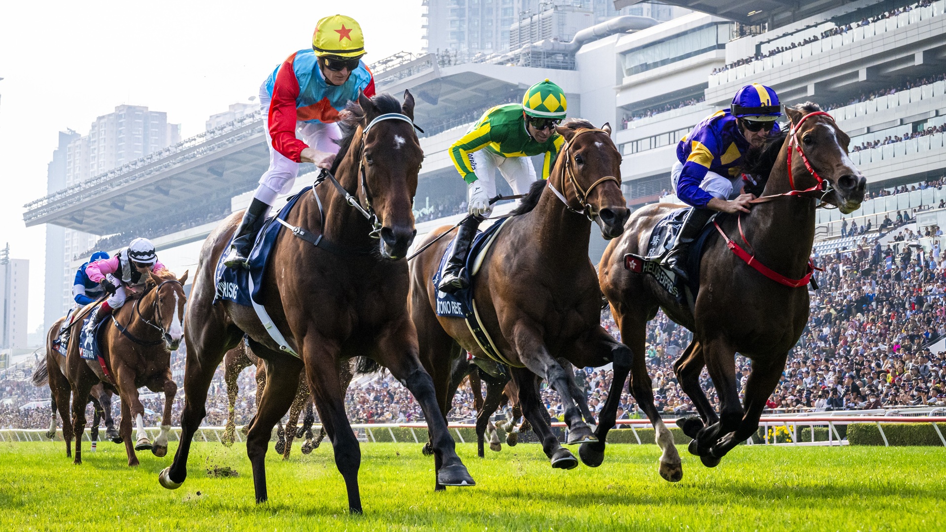 Course hippique - Pronostics PMU