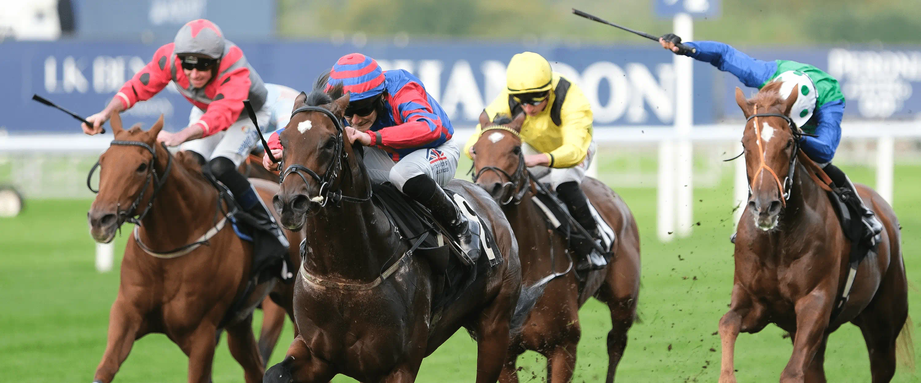 Course hippique - Analyses PMU