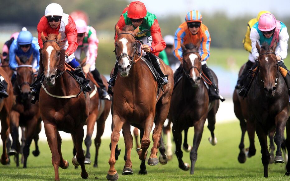 Course hippique - Experts PMU